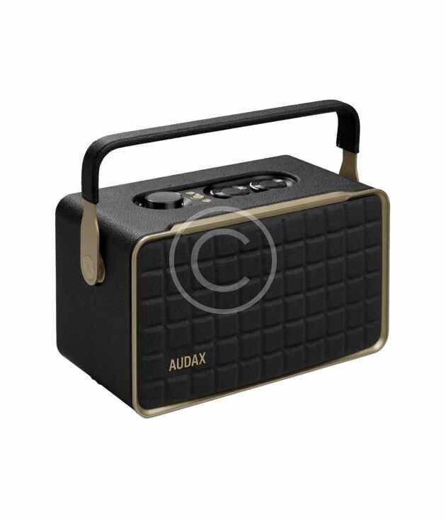 Portable wireless speaker