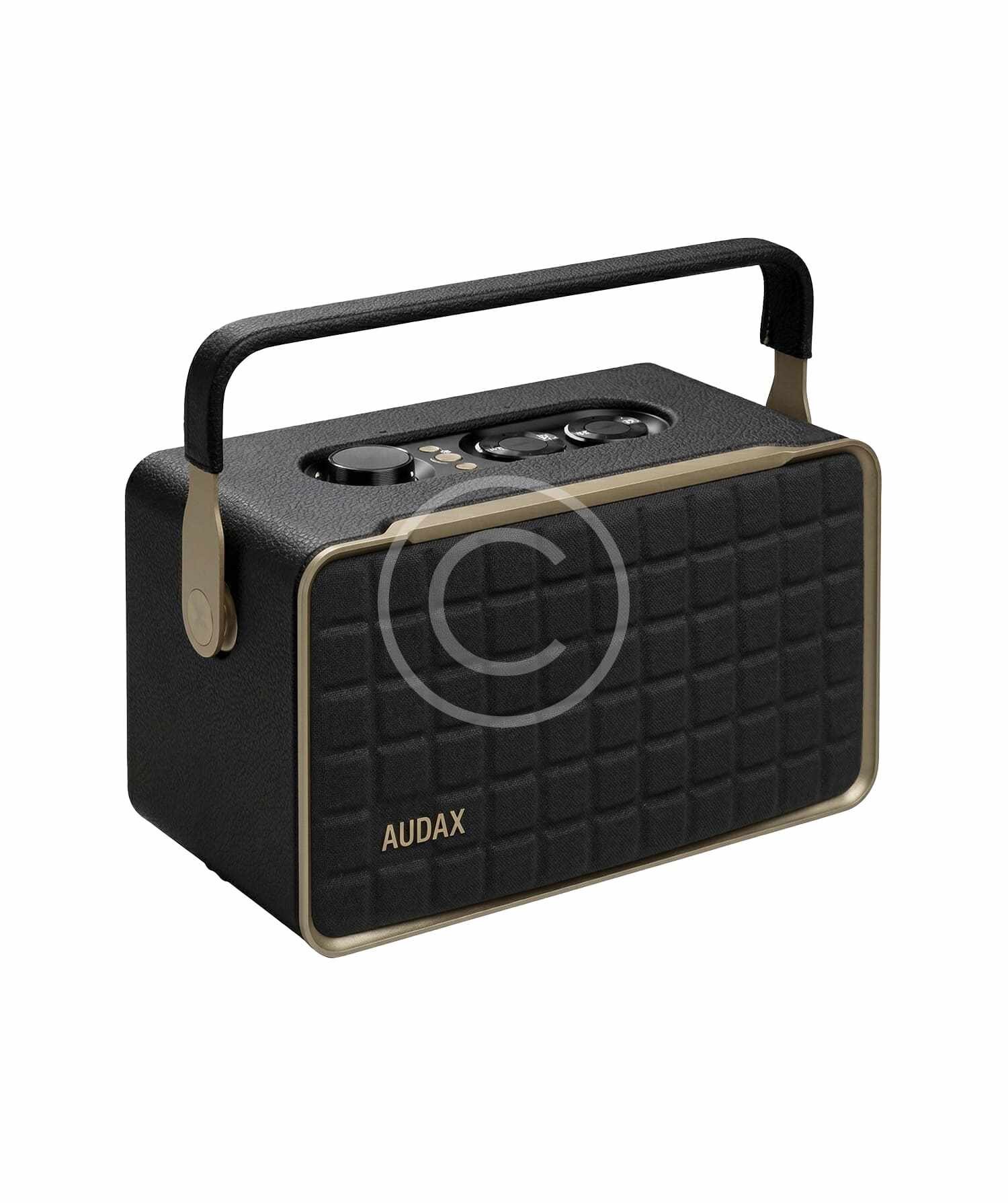 Portable wireless speaker